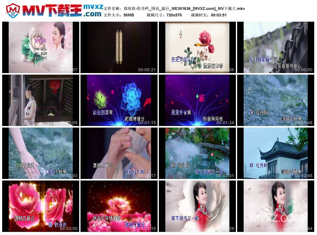 郑培钦-牡丹吟_国语_流行_ME301636